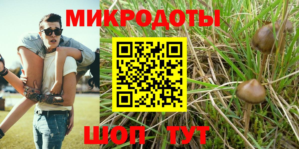 Галлюциногенные грибы GOLDEN TEACHER Октябрьский